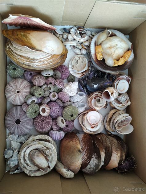 rôzne druhy dipov a marinád