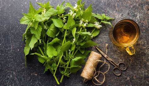 Tabuľka interakcií žihľavového čaju s liekmi