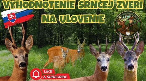 Servírovaný tanier s medailónikmi zo srnčej zveri