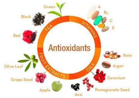 Antioxidanty chrániace bunky pred voľnými radikálmi