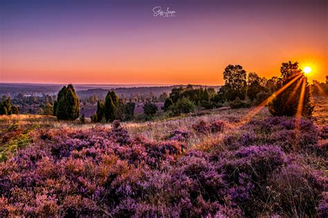 Lüneburger Heide