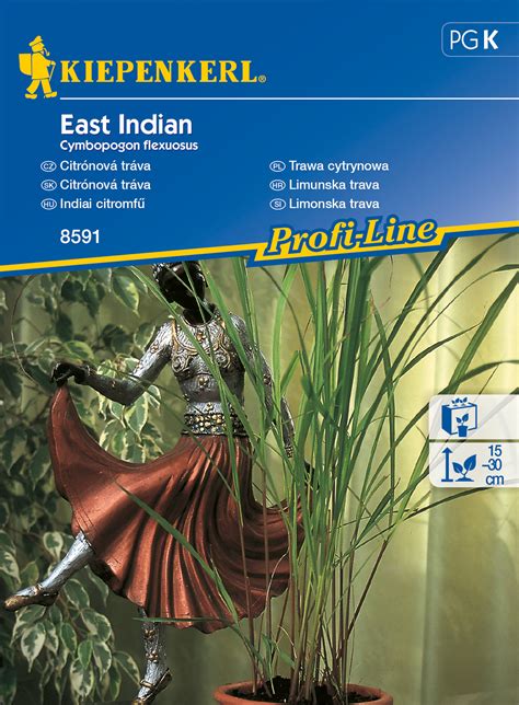 Staroveké zobrazenie byliniek