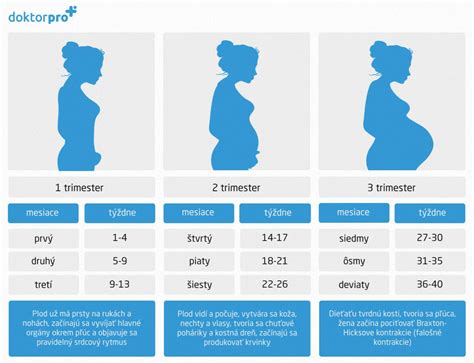 Hormonálne zmeny v prvom trimestri tehotenstva