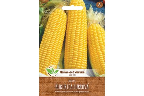 Zrná kukurice