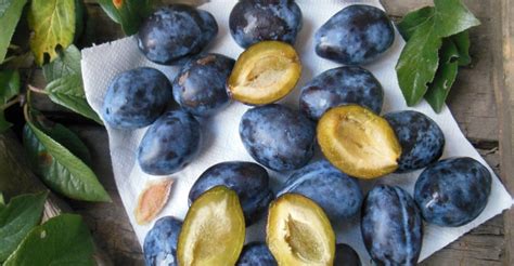 Fotografia rôznych druhov sliviek