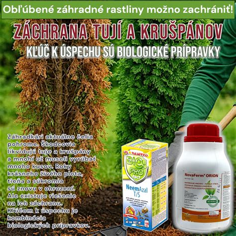 Bylinné výluhy na ochranu rastlín