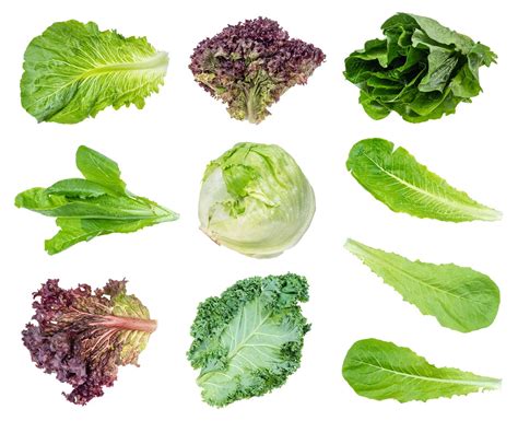 Infografika porovnávajúca nutričné hodnoty rôznych typov šalátov