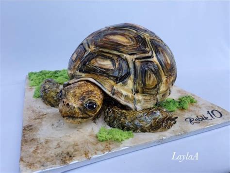 Vizualizácia vegánskej torty Korytnačka