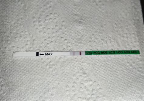 domáci tehotenský test