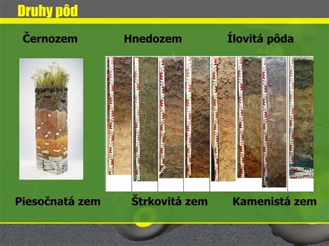 Piesočnatá pôda