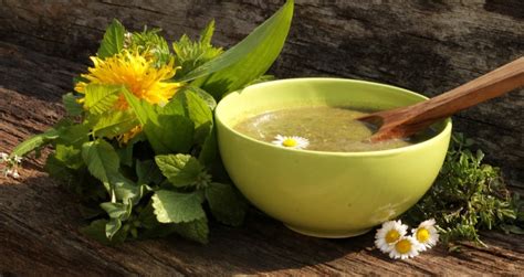 Miska so šalátovou polievkou ozdobená bylinkami