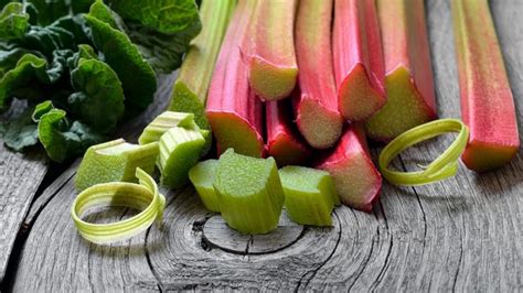 Obrázok čerstvej rebarbory