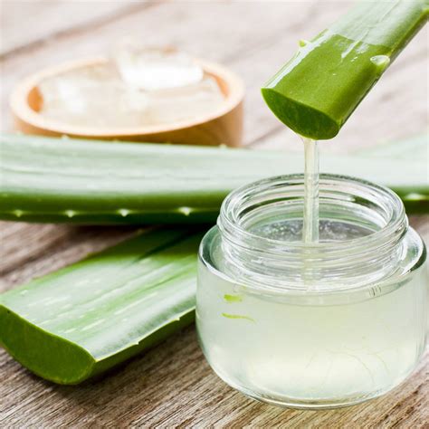 List aloe vera a miska s gélom