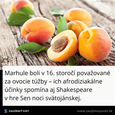 graf zdravie marhule