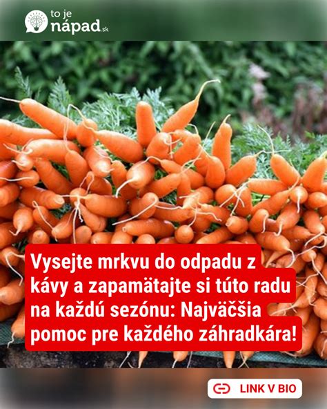 Zloženie mrkvy pre králiky