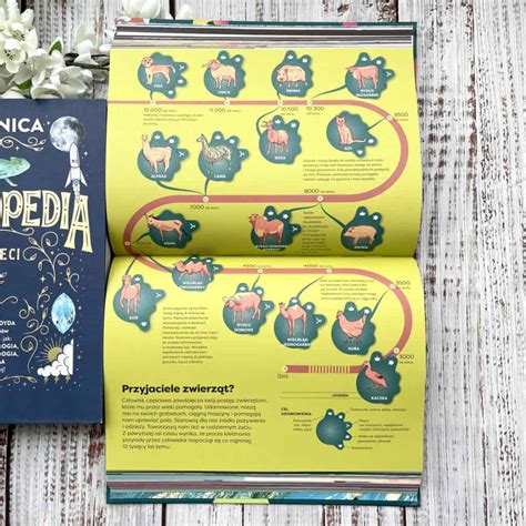 Infografika účinkov propolisu