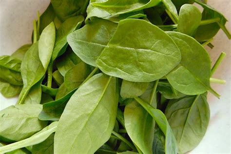 Ilustračná fotografia čerstvého špenátu