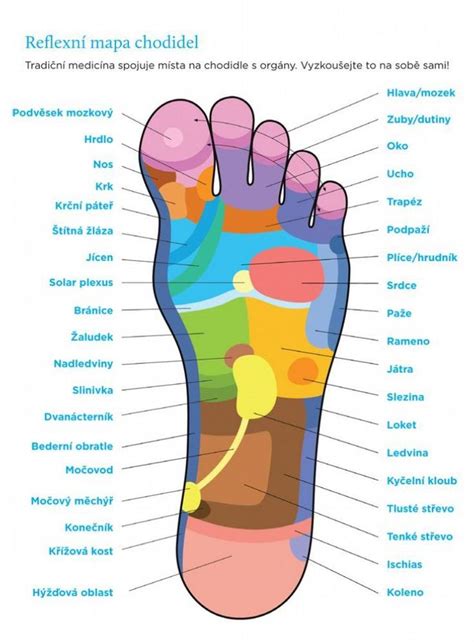 Mapa nervových zakončení na chodidle