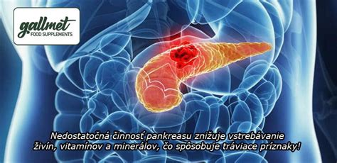 Schéma trávenia tukov so žlčou