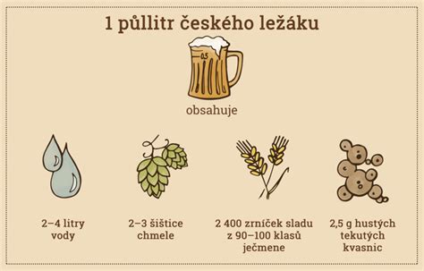 Infografika znázorňujúca základné suroviny na výrobu domáceho kečupu