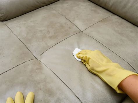 Čistenie hnedých šampiňónov vlhkou handričkou