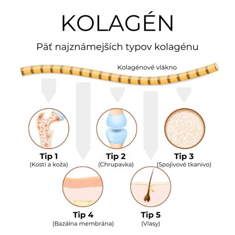 Kolagén v kĺboch