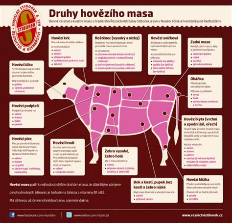 Infografika zobrazujúca rozličné druhy mäsových plniek