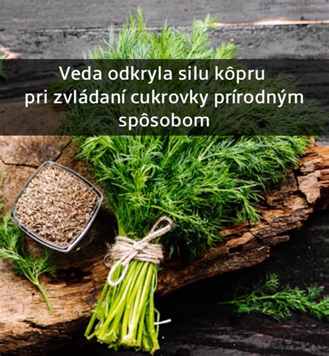 Ilustrácia čerstvého kôpru