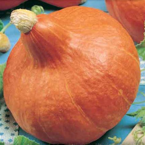 Tekvica Hokkaido pred a po upečení