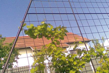 Konštrukcia ručného lisu na ovocie