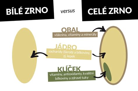 Ilustrácia zloženia celého zrna