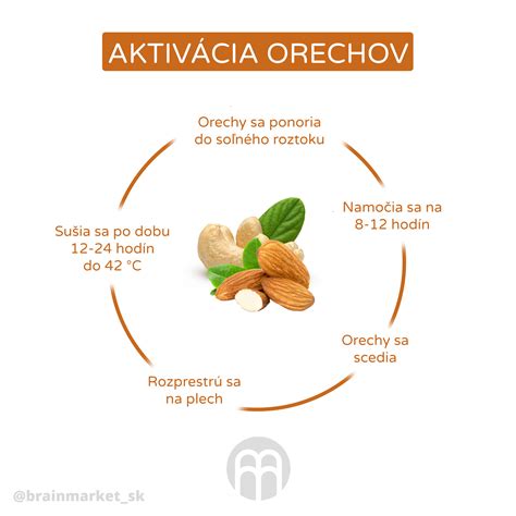 Ilustrácia rôznych druhov semienok a orechov používaných pri pečení bielkovinového chleba