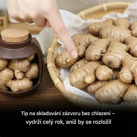 Čerstvý zázvor a citrón na prípravu sirupu