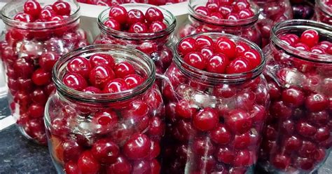 Čerstvé čerešne na tanieri