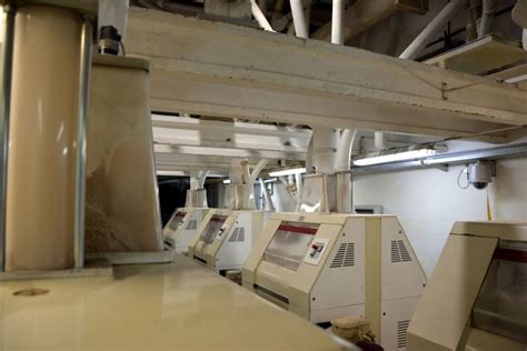 Výrobný proces extrudovaného chleba