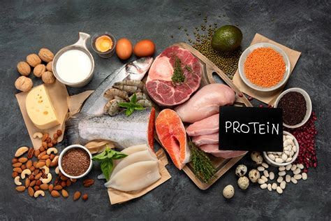 zdroje bielkovín v strave