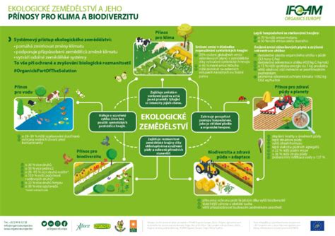 Infografika porovnávajúca ekologické sieťované vrecká s plastovými sáčkami