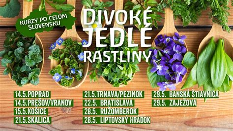 Jedlé rastliny na balkóne