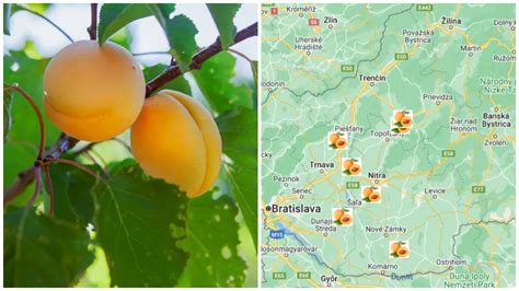 Mapa s regiónmi produkujúcimi ovocie