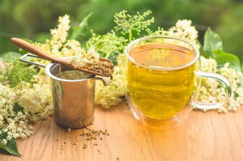 Ilustrácia zberu bazy