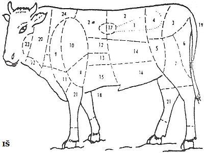 Rozdelenie častí teľaťa