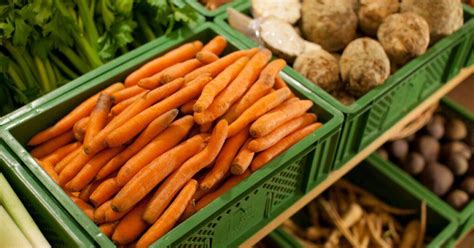 Ilustrácia skladovania koreňovej zeleniny v debničke s pieskom