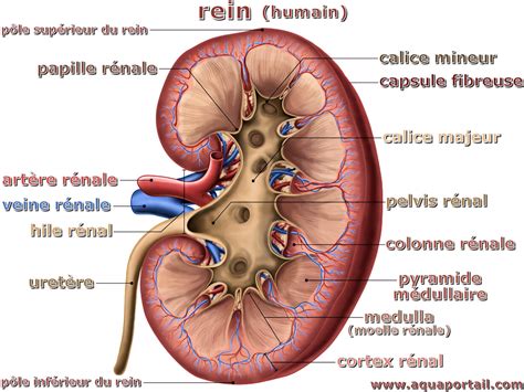 Schéma zazimovacej jamy