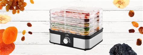 Ilustrácia sušenia ovocia v sušičke