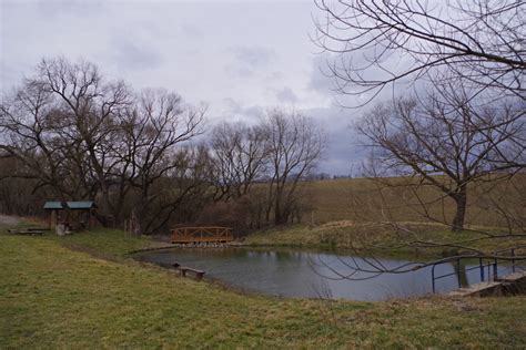 Jazierko pri penzióne Zlatá Ryba