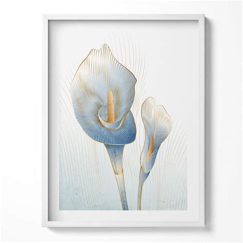 Ilustrácia kvetov bazy