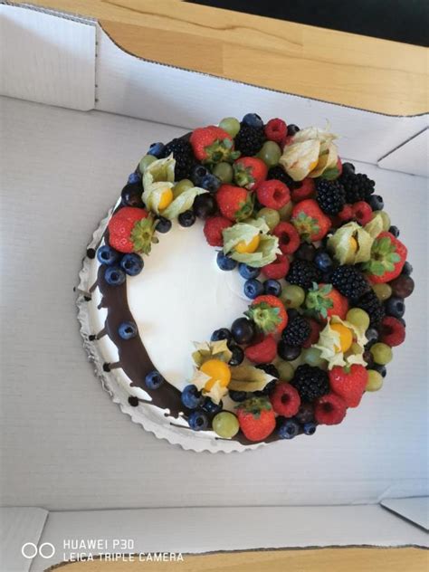 Ilustrácia torty pre psa zdobenej ovocím