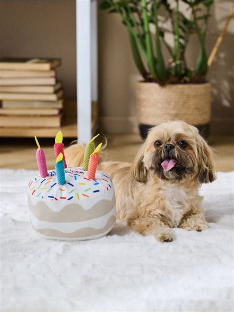 Ilustrácia psa vychutnávajúceho si tortu