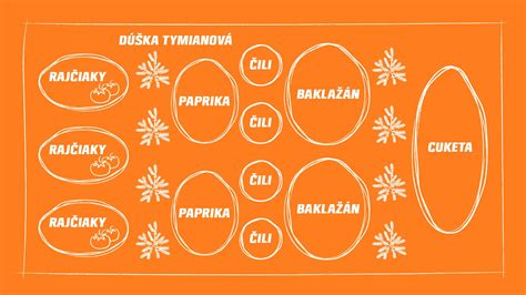 Schéma blanšírovania paradajok
