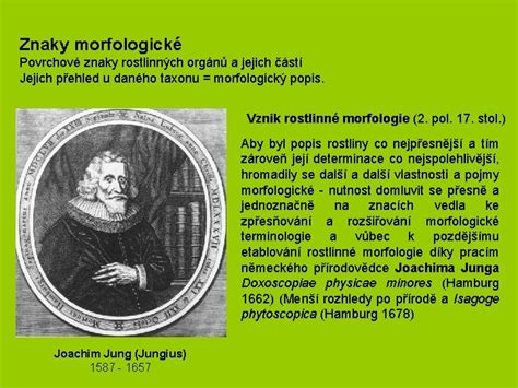 Morfologické znaky lososa obecného